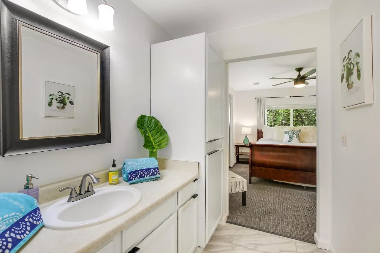 Opakapaka Ohana Pahoa Holiday home