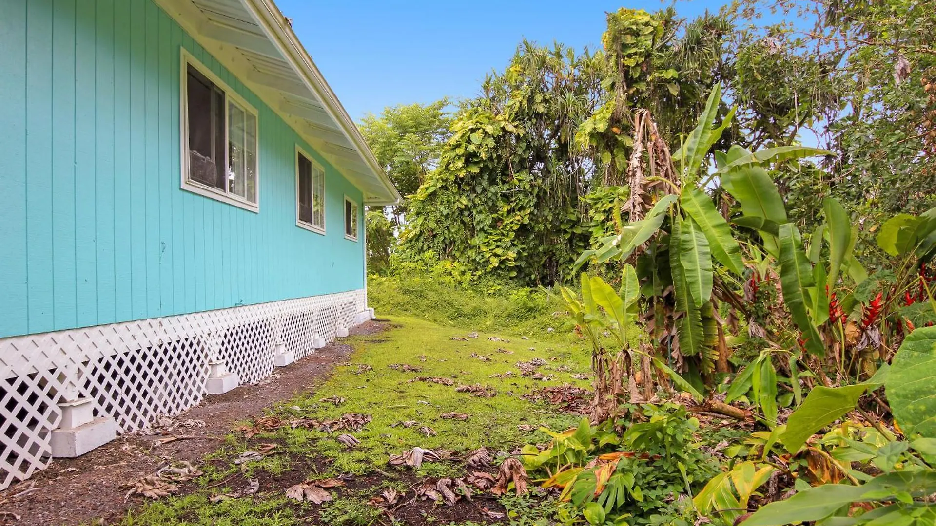 Opakapaka Ohana Pahoa Holiday home