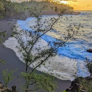 Kehena Mauka Nui Club Lgbtqia+ Clothing Optional Bed & Breakfast